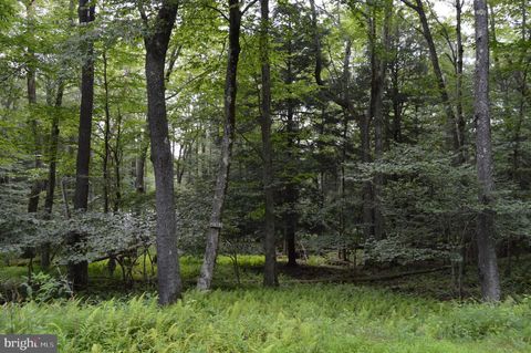 Vacant Land For Sale - LOT 256 Azalea Ln<br/> Preston County, TERRA ALTA, WV 26764