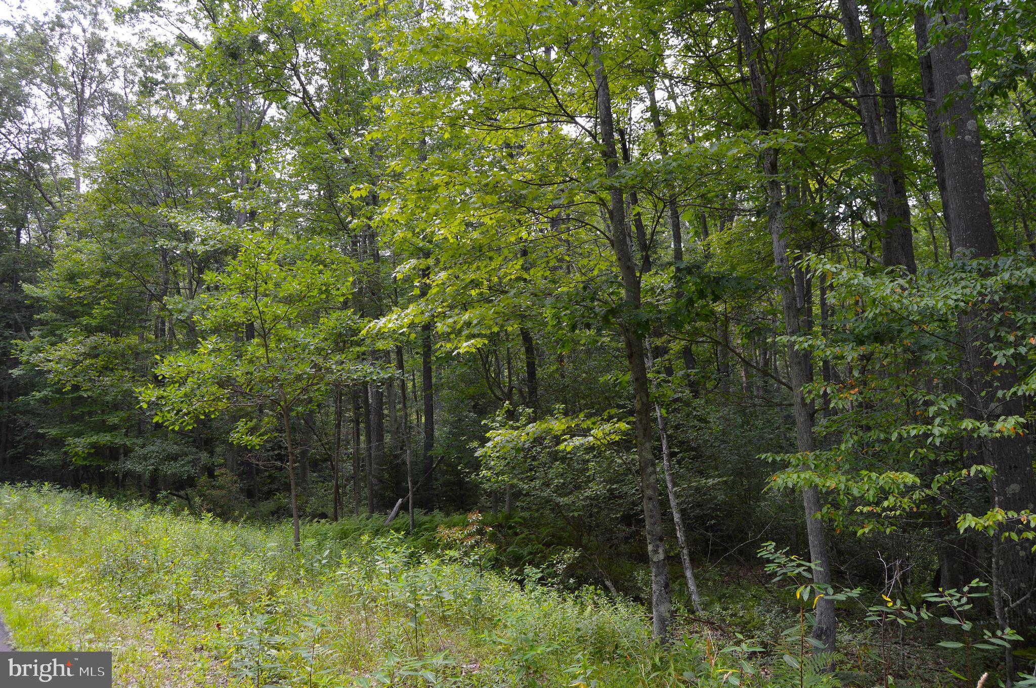 ALPINE LAKE  RESORT - Land