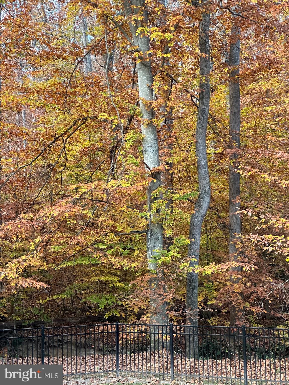 MANOR WOOD ESTATES - Residential