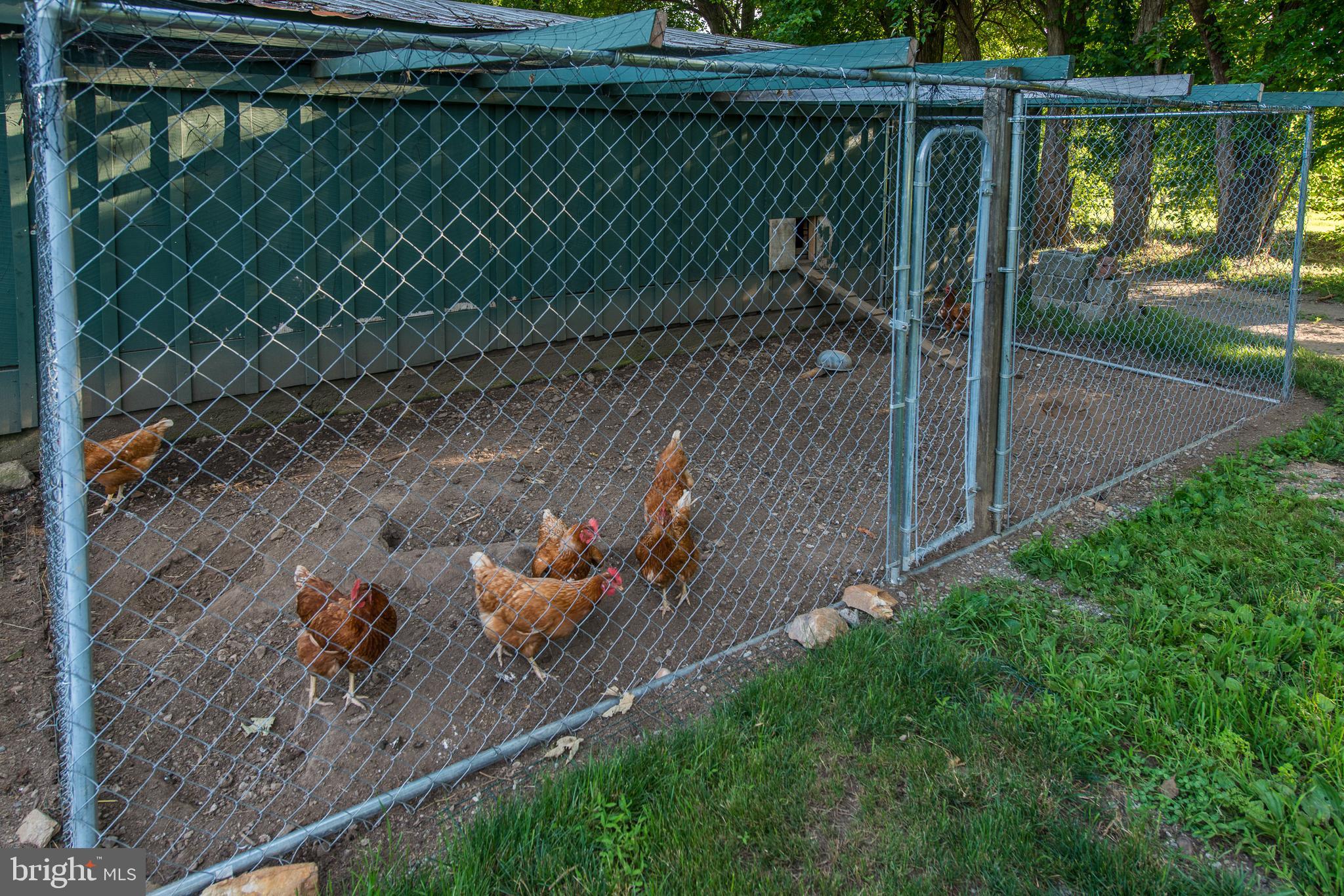 MARSHALLTON - Residential