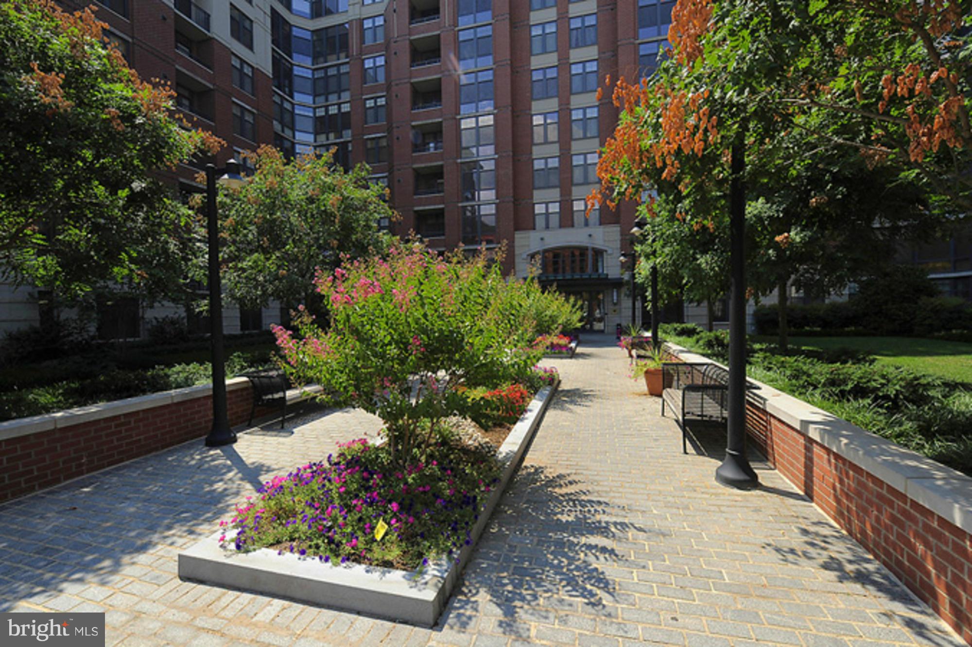 CLARENDON - Residential