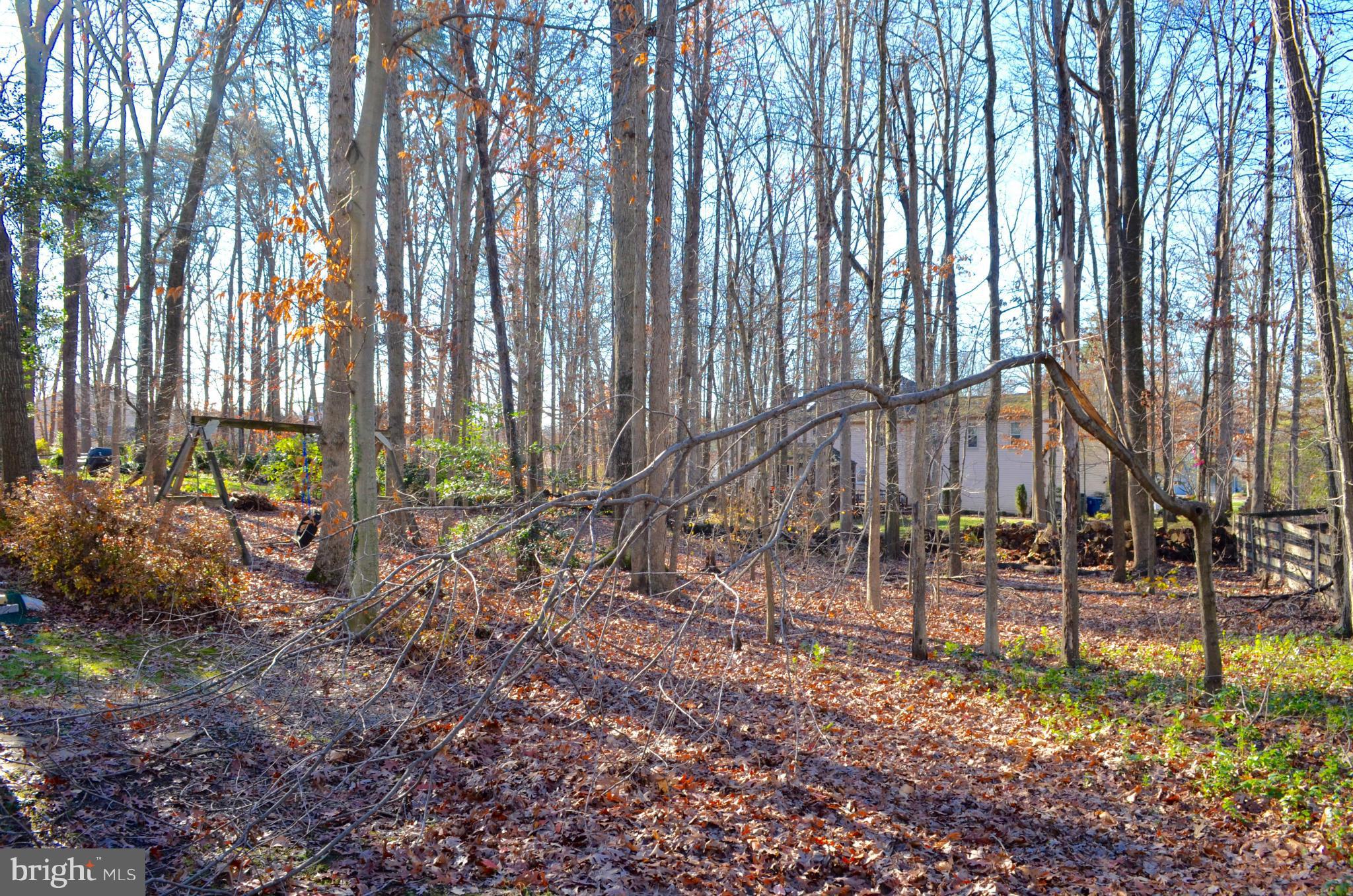 SOUTH RUN - Residential