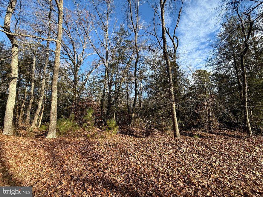 Just moments from the Potomac River, this property offers a peaceful escape with endless potential. Picture your dream home tucked into this quiet, scenic setting—surrounded by well-kept homes and the charm of an established neighborhood.

With the Potomac so close, you’ll have easy access to fishing, boating, kayaking, and all the beauty that comes with riverside living. Spend your weekends exploring the water, unwinding along the shoreline, or simply soaking in the sounds of nature.

Outdoor enthusiasts will also love the nearby parks and recreational areas, perfect for hiking, biking, picnicking, and enjoying Maryland’s stunning landscapes.

Don’t miss your chance to claim your own slice of paradise in beautiful Charles County. This is a rare opportunity you’ll want to act on.