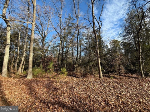 Vacant Land For Sale - Waycross Place<br/> Charles County, NEWBURG, MD 20664