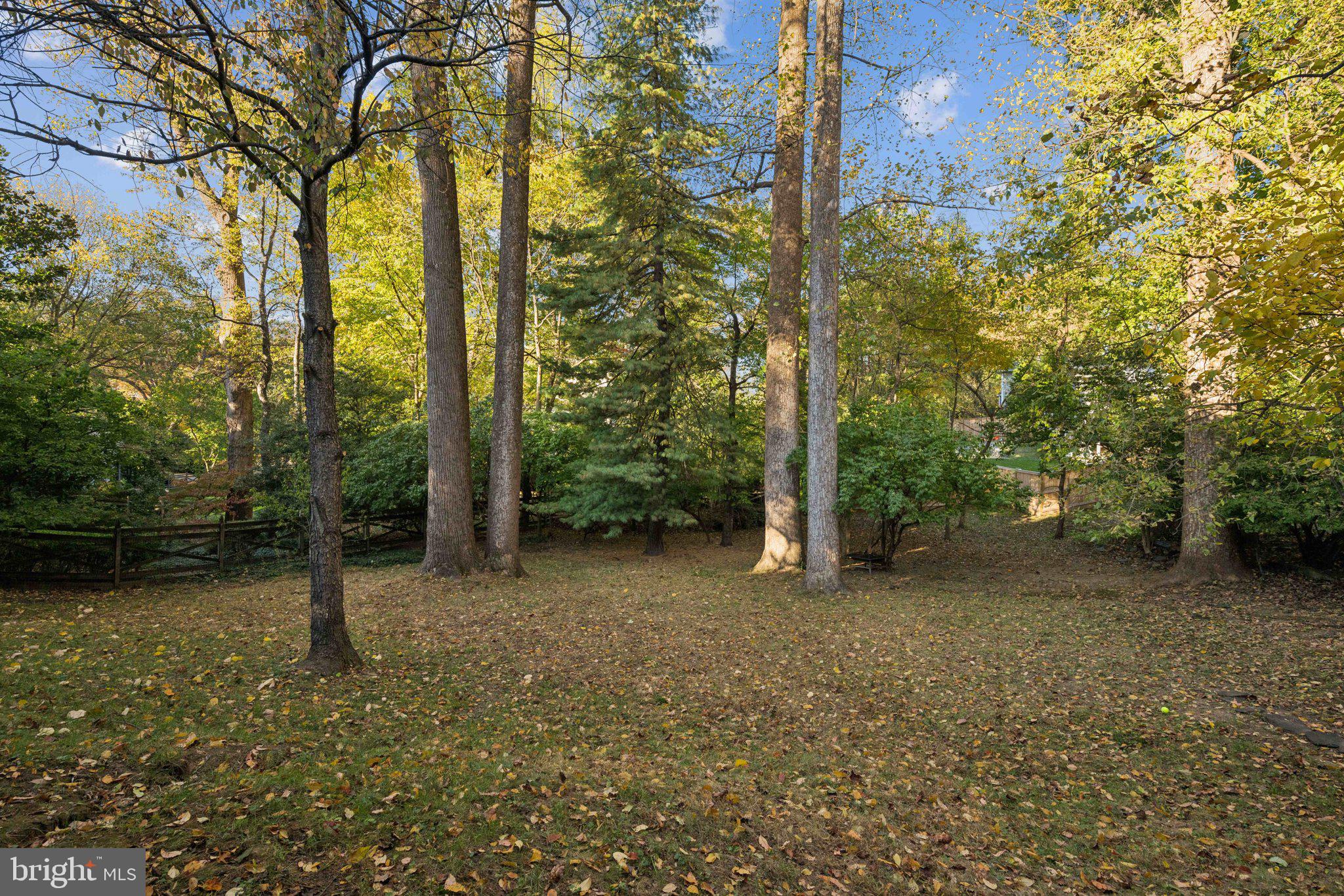 SPRING HILL - Residential Lease