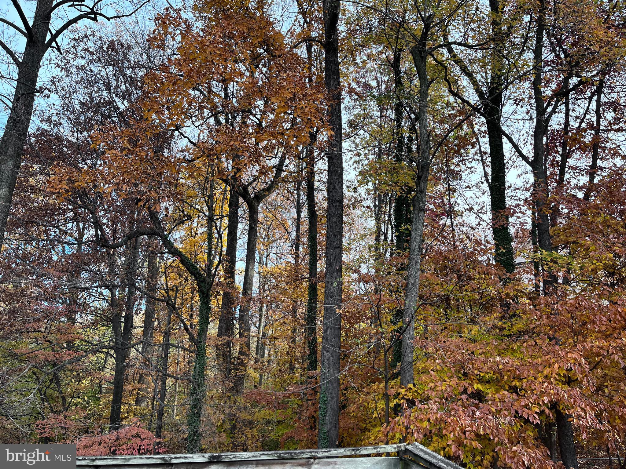 WILLOW HILLS - Residential