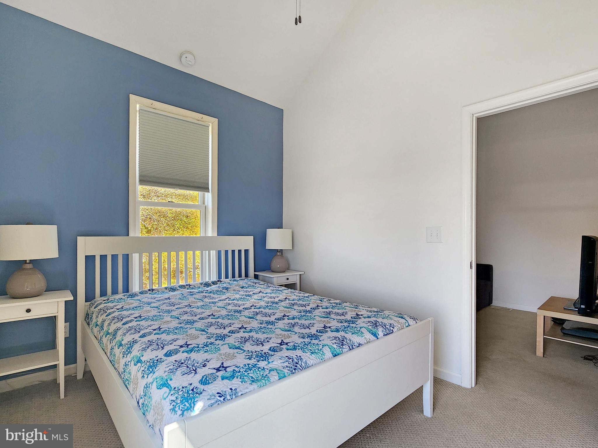 CHINCOTEAGUE - Residential