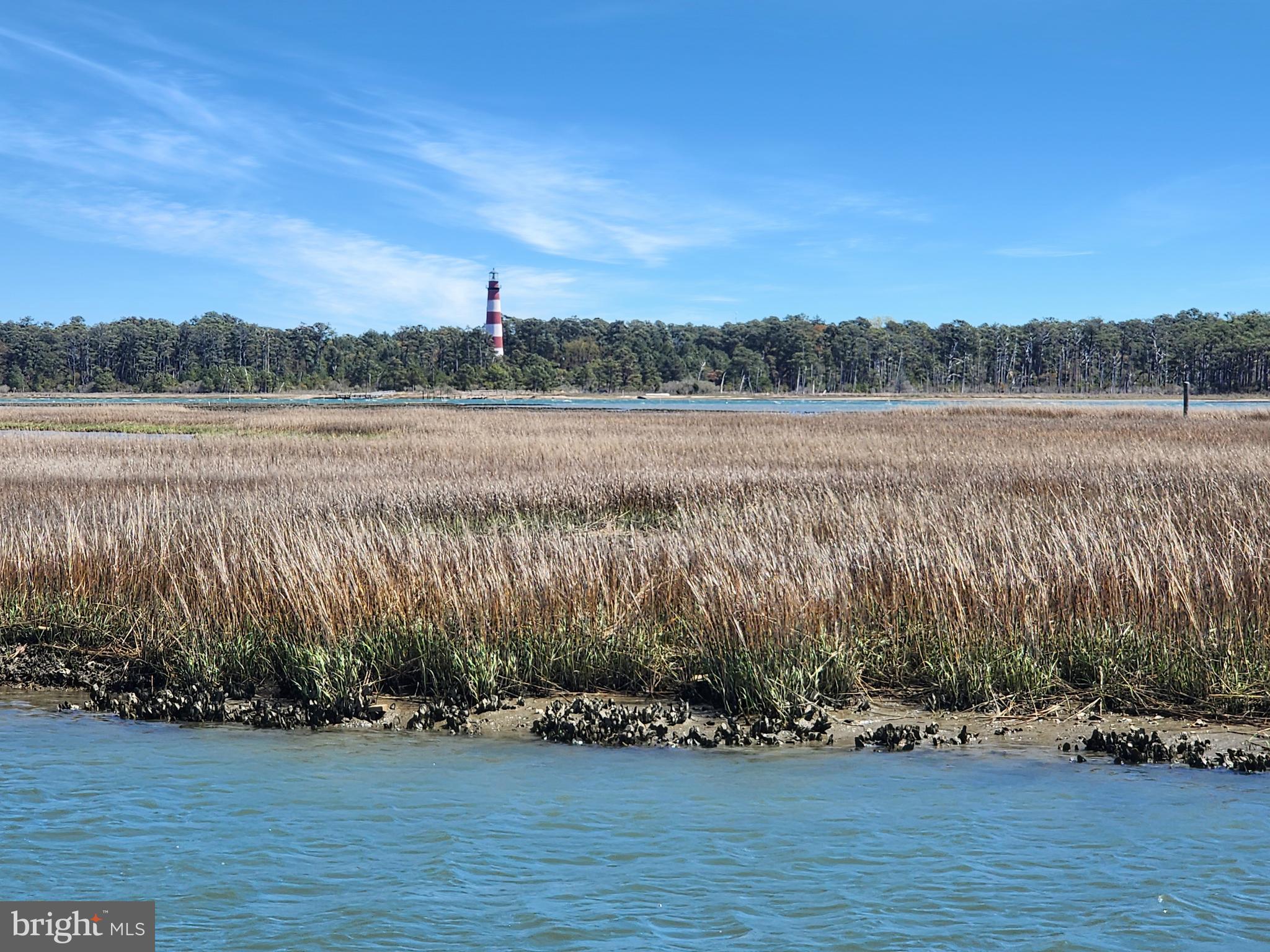 CHINCOTEAGUE - Residential