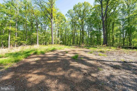 1000 MANNING ST GREAT FALLS VA 22066