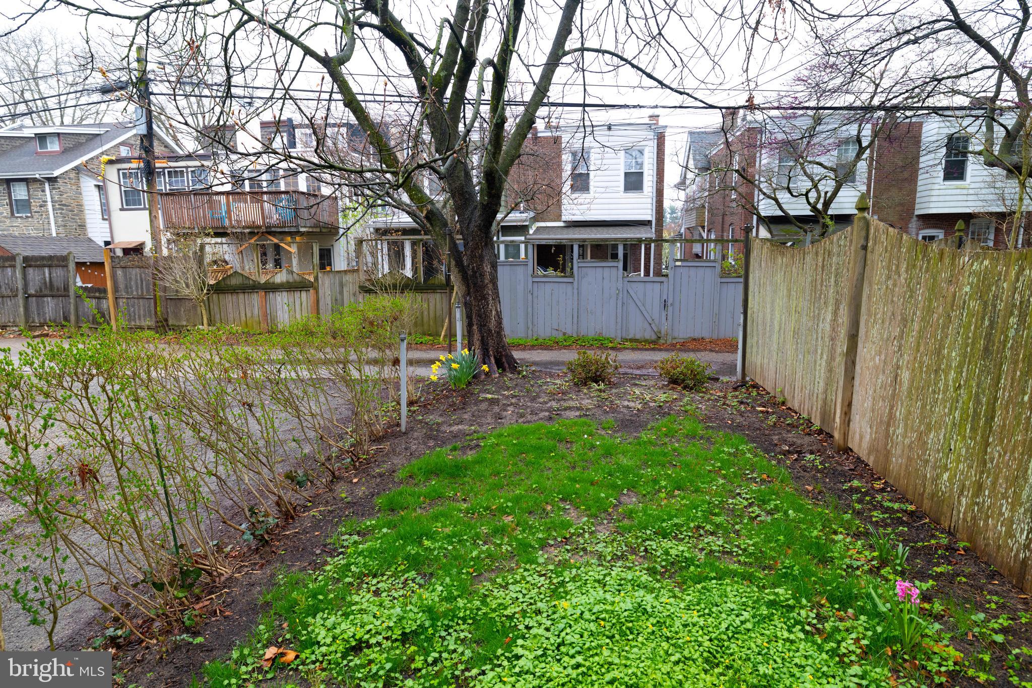 CHESTNUT HILL - Residential