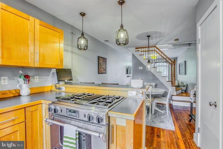 LOCUST POINT - Residential