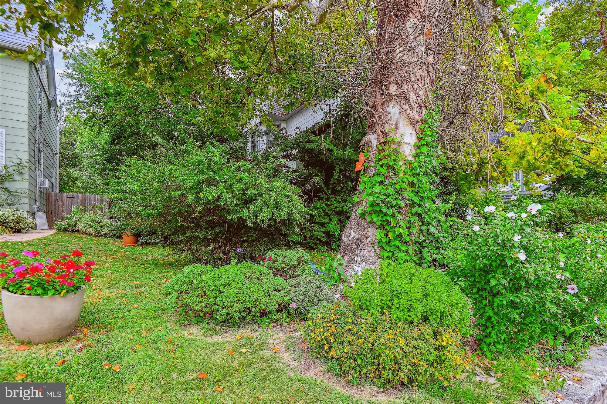 WESTFIELD - Residential