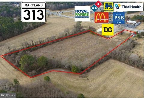 Vacant Land For Sale - Bloomingdale Avenue<br/> Caroline County, FEDERALSBURG, MD 21632