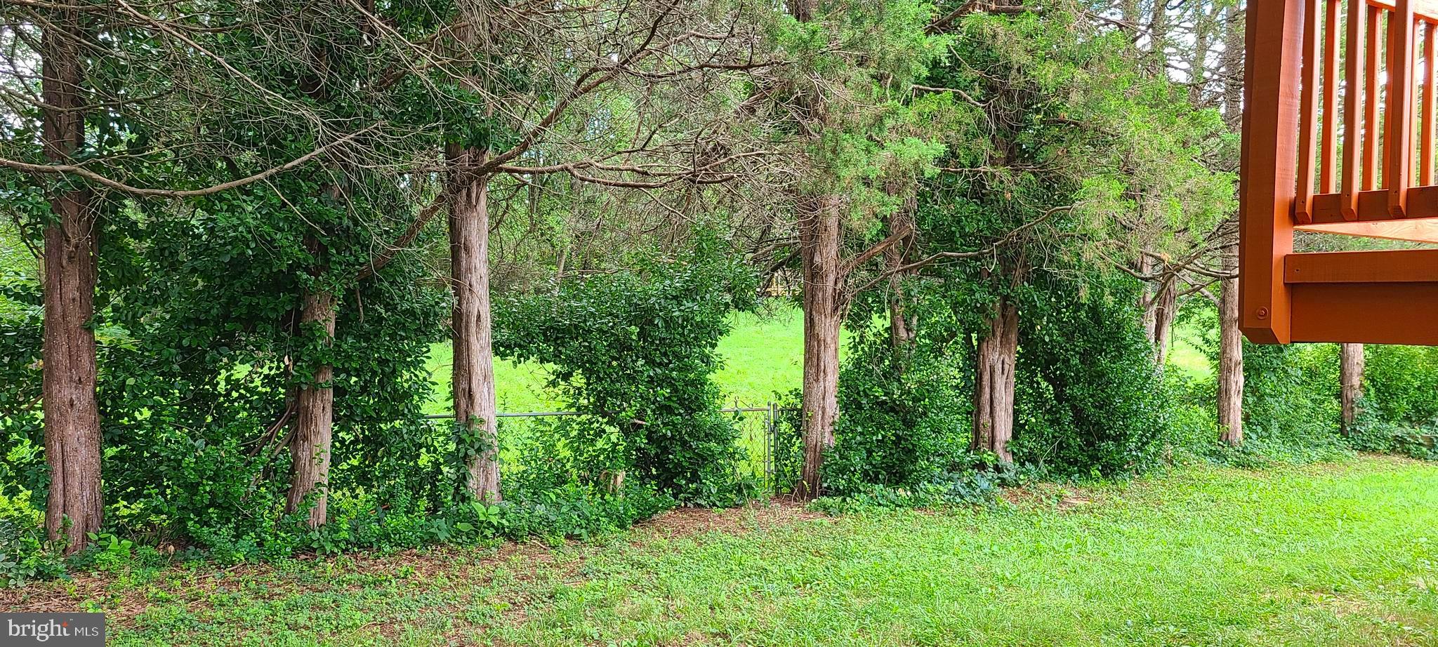 COUNTRY CLUB MANOR - Residential