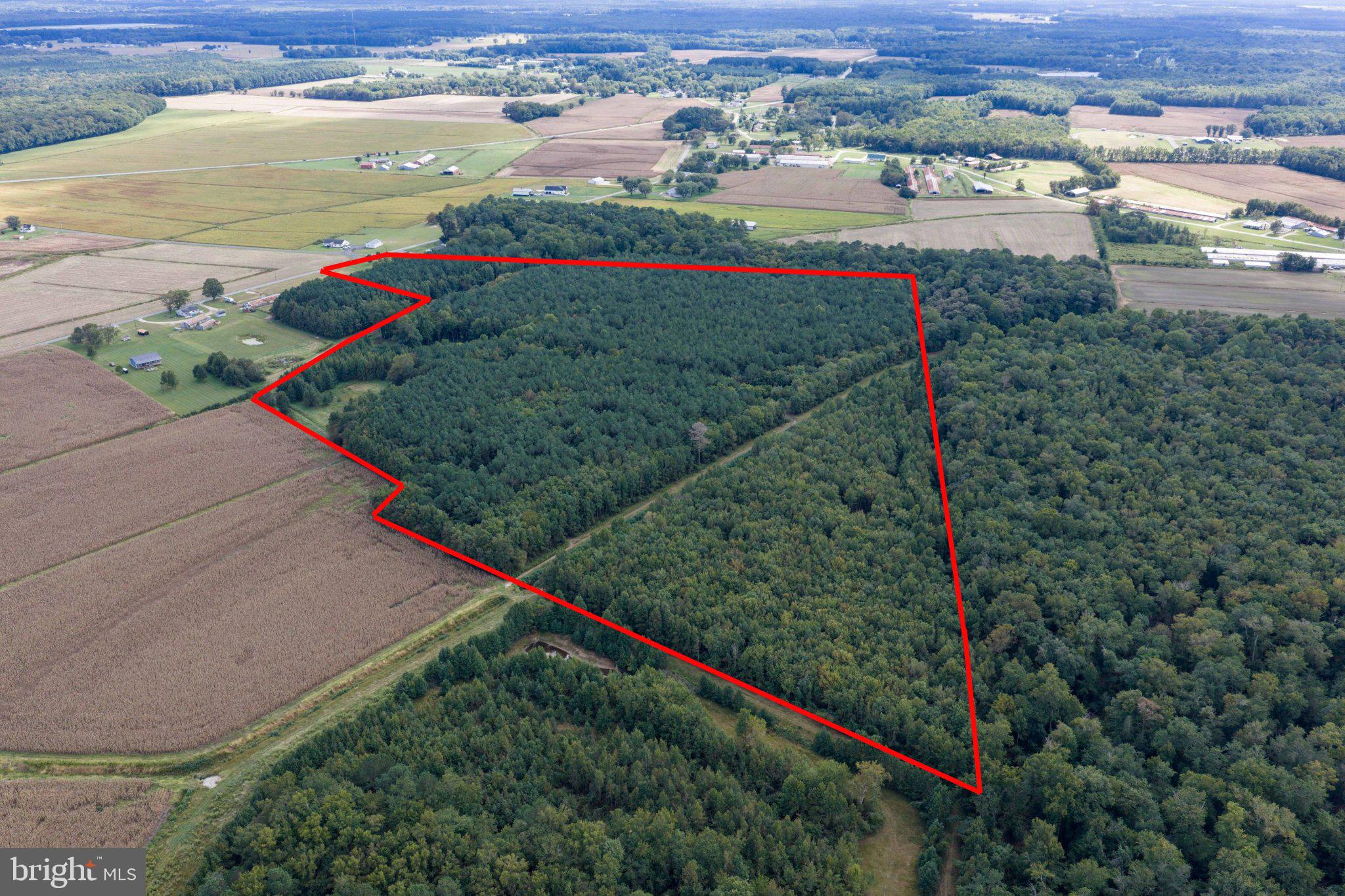 12201 BLUEBERRY ROAD