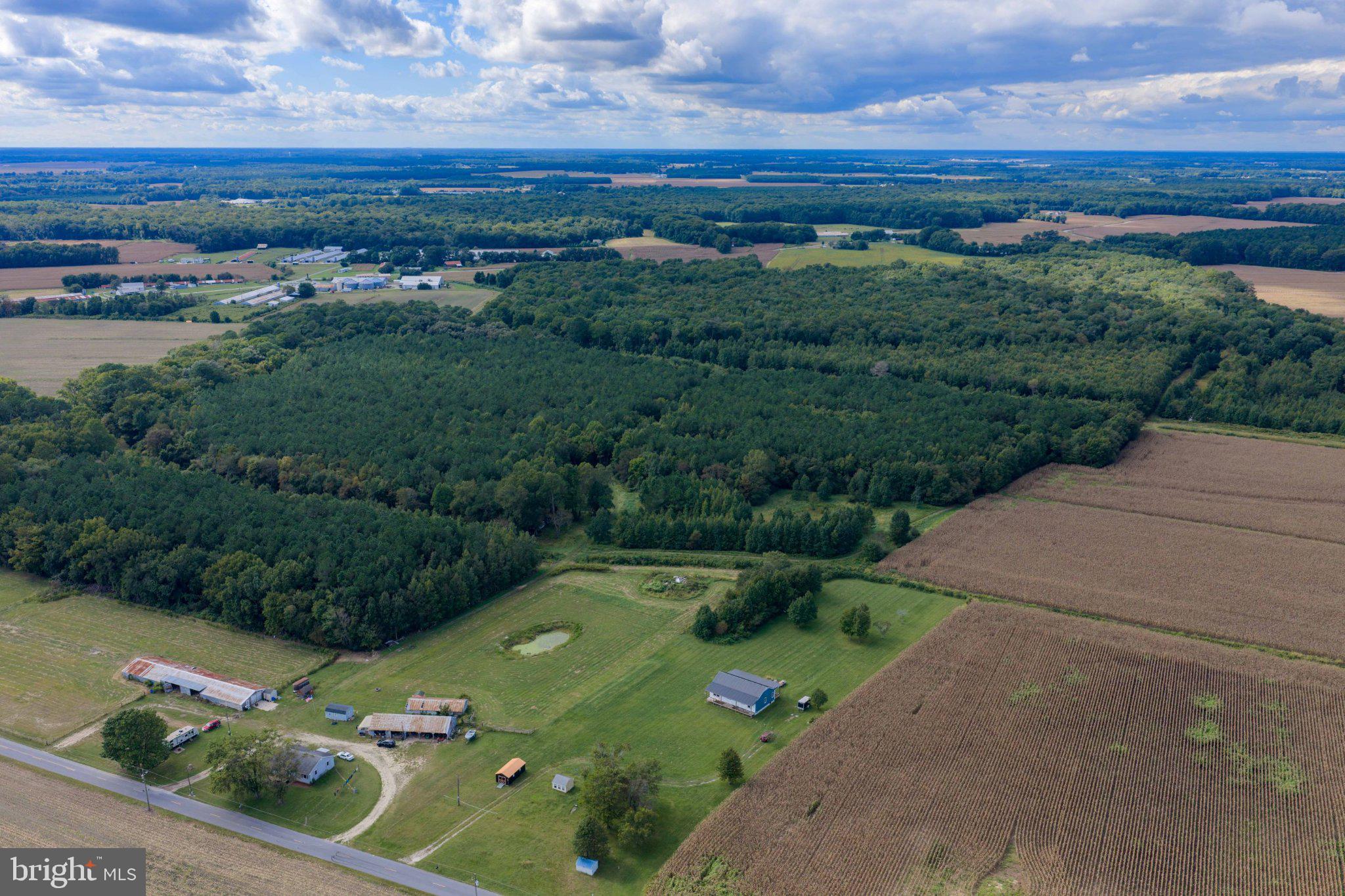 12201 BLUEBERRY ROAD