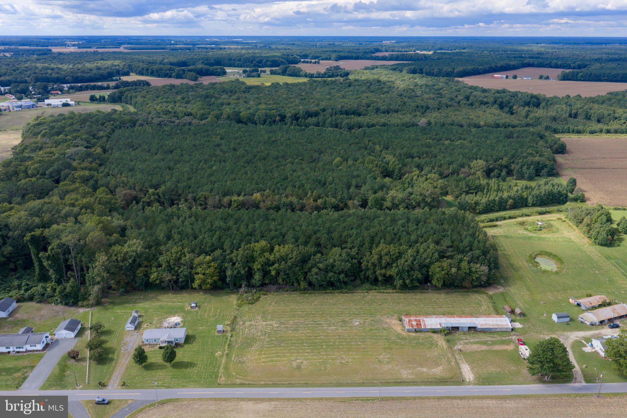 12201 BLUEBERRY ROAD