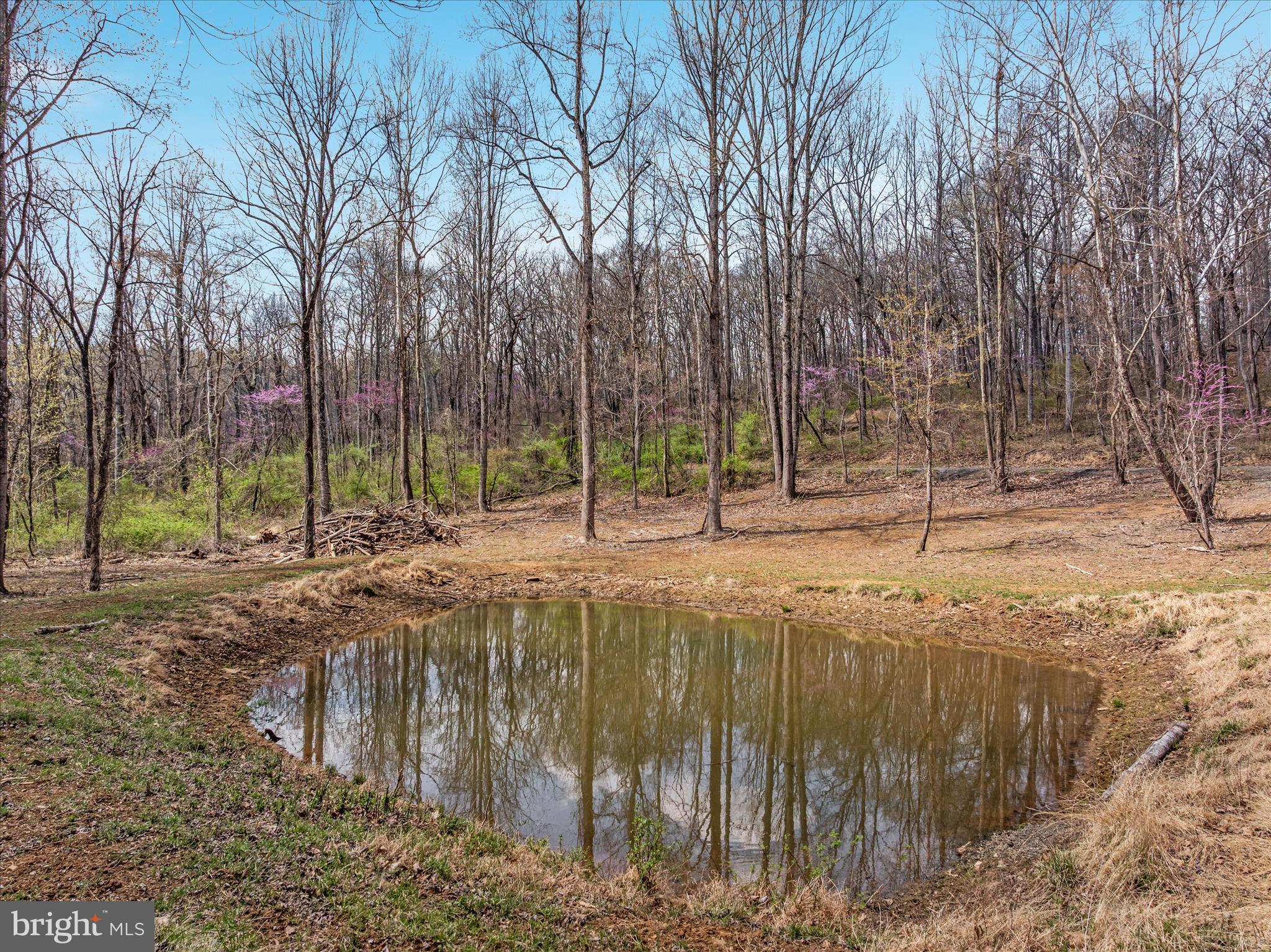 SUMMERFIELD HILLS - Residential