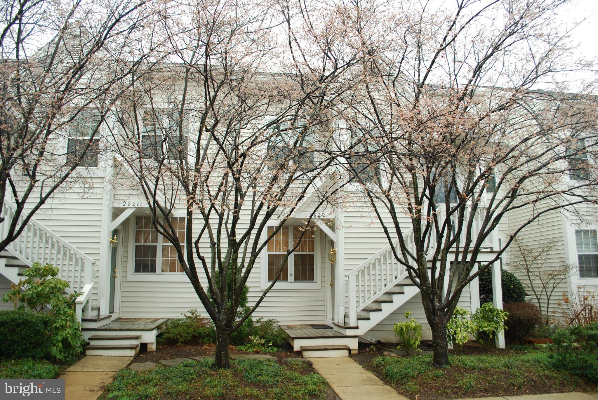 CARR AT NEW PROVIDENCE - Residential