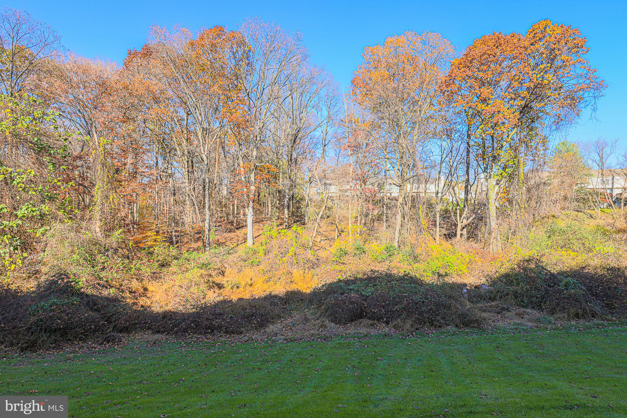 THE COURTYARDS AT POND - Residential