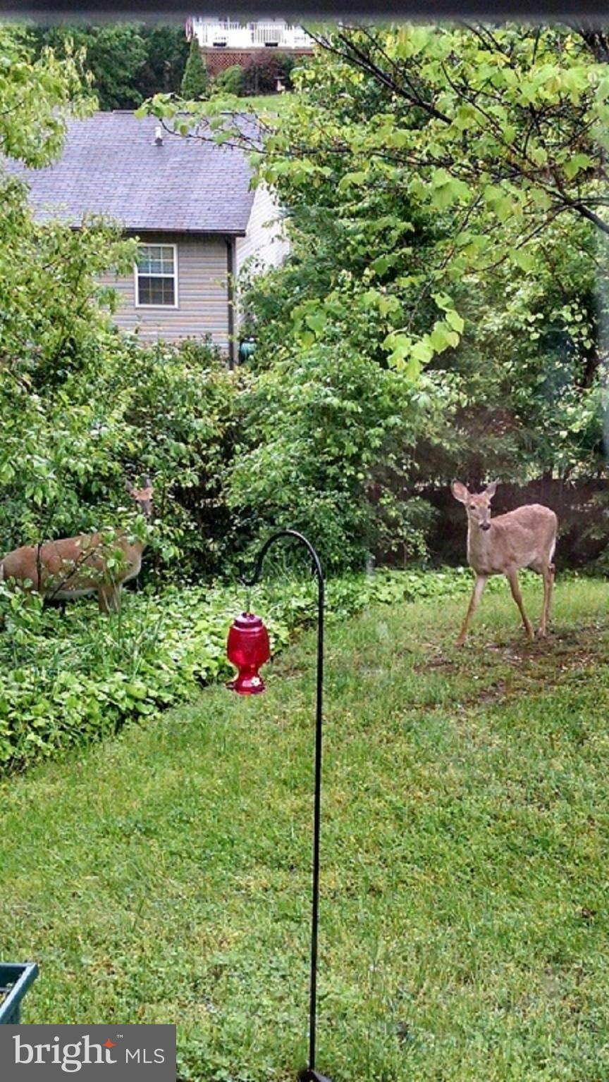 DRUM POINT - Residential