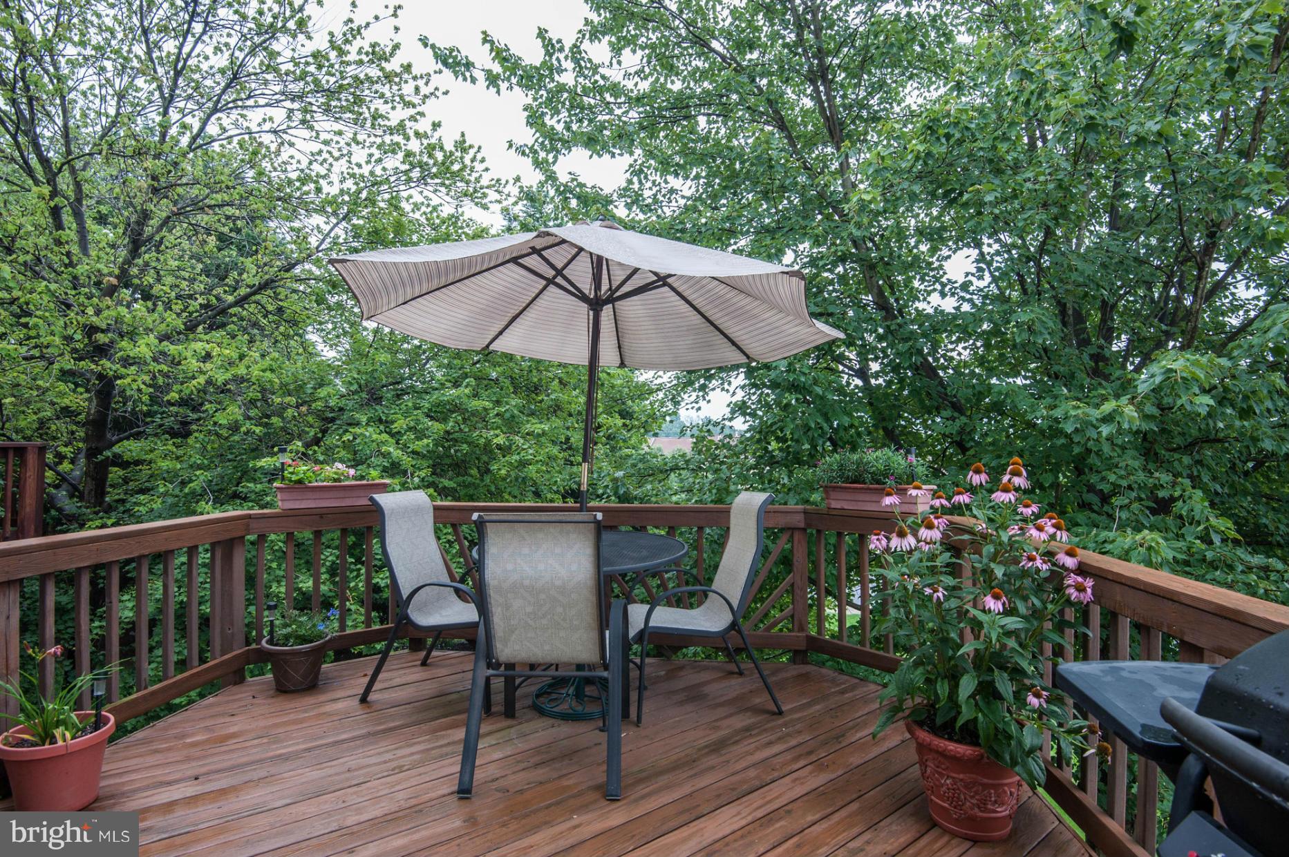 WINDING RIDGE - Residential