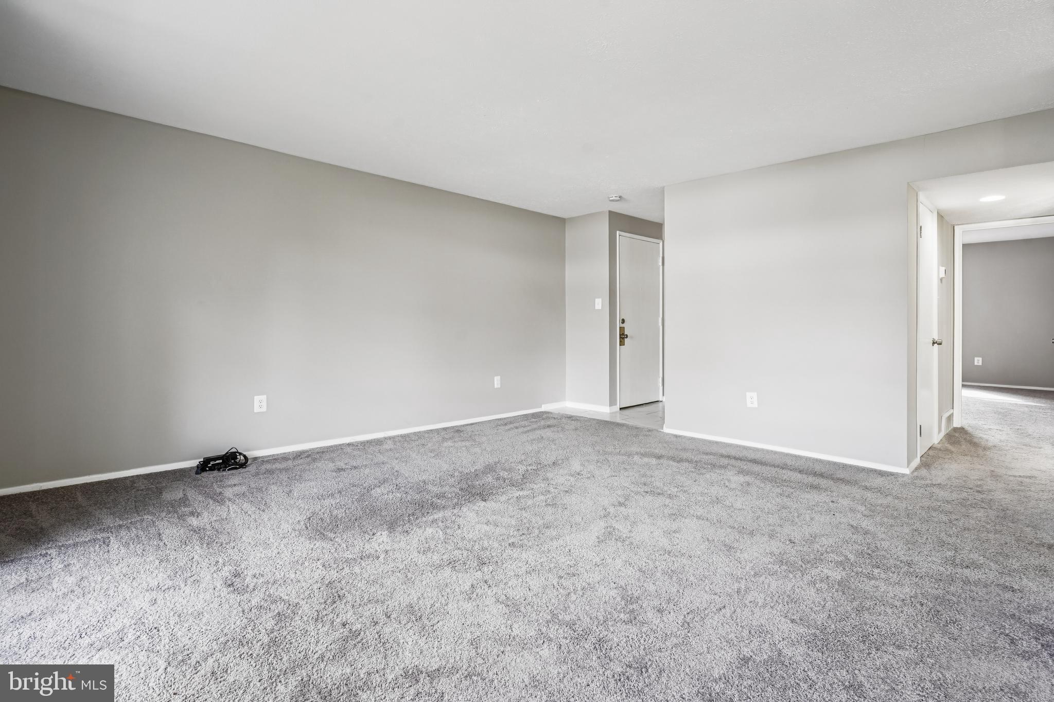 534 WILSON BRIDGE DRIVE C-1