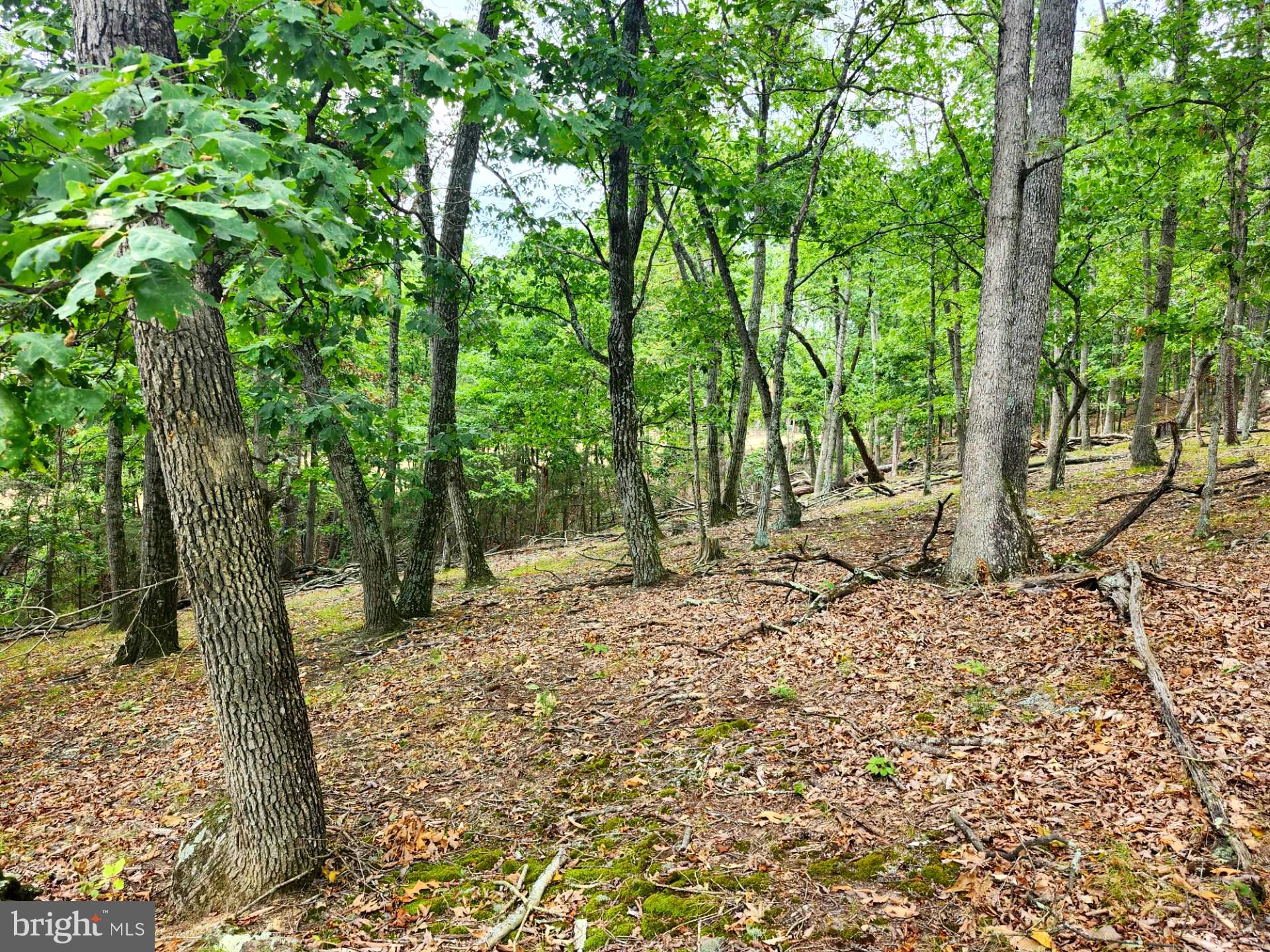 NONE UNRESTRICTED - Land