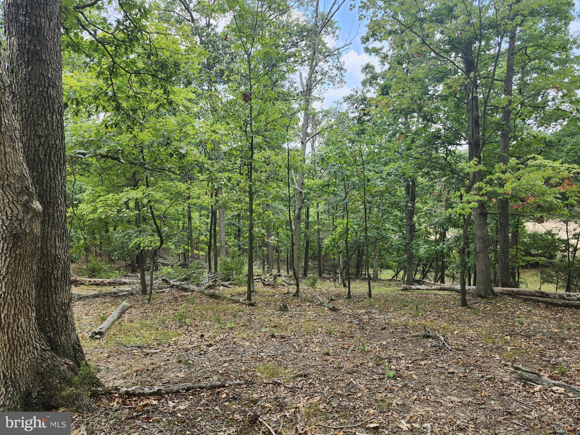 NONE UNRESTRICTED - Land