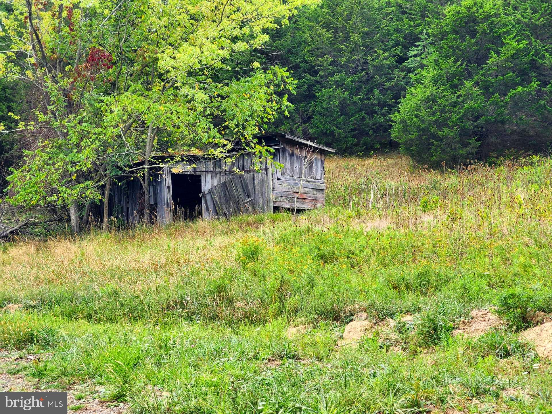 NONE UNRESTRICTED - Land