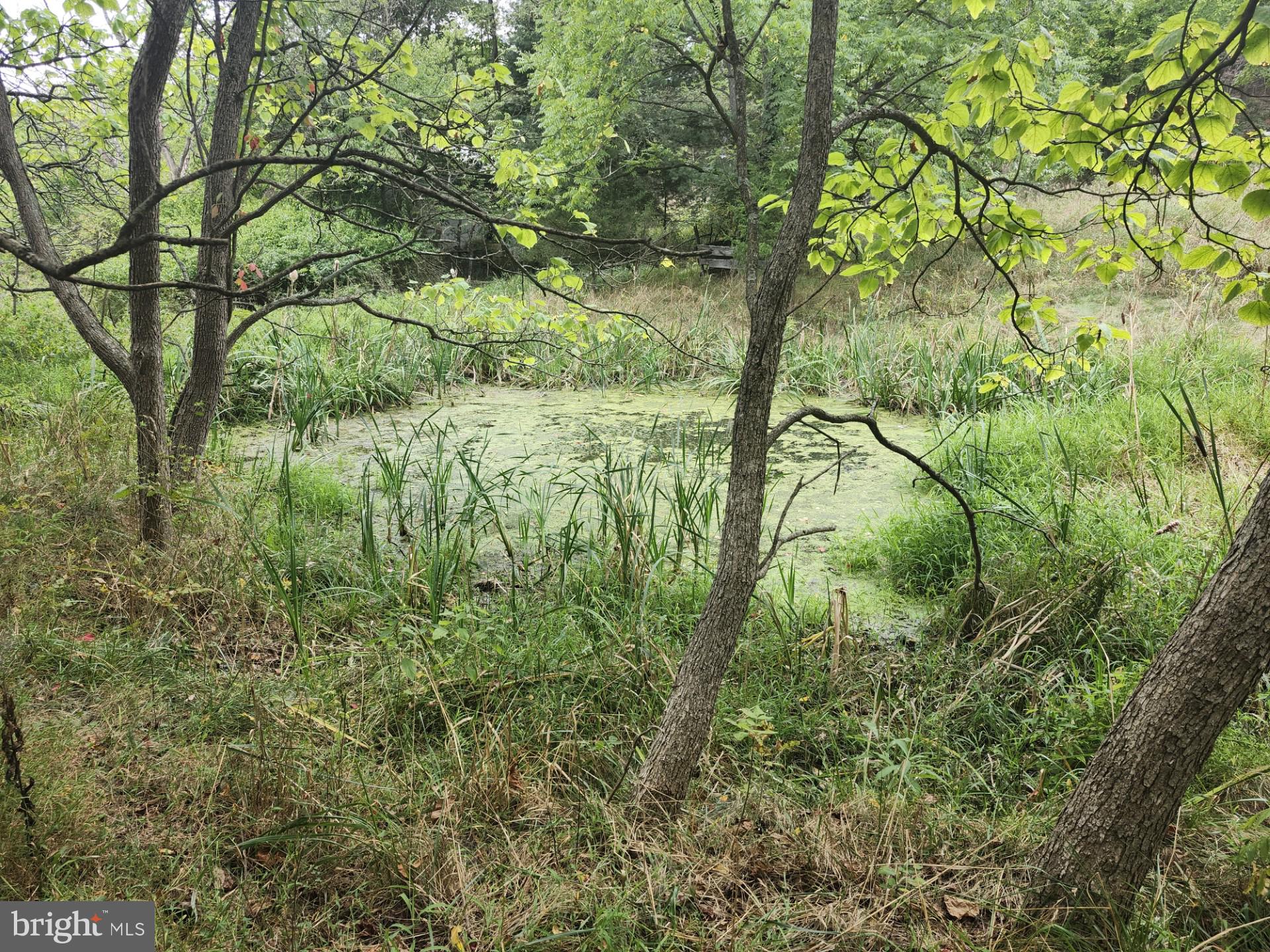 NONE UNRESTRICTED - Land