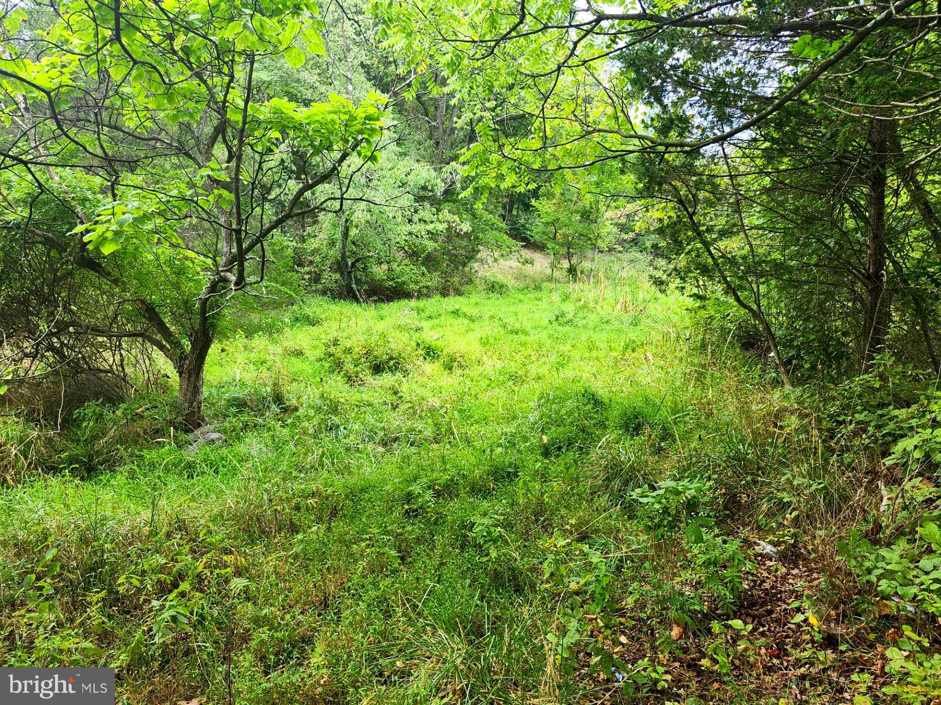 NONE UNRESTRICTED - Land