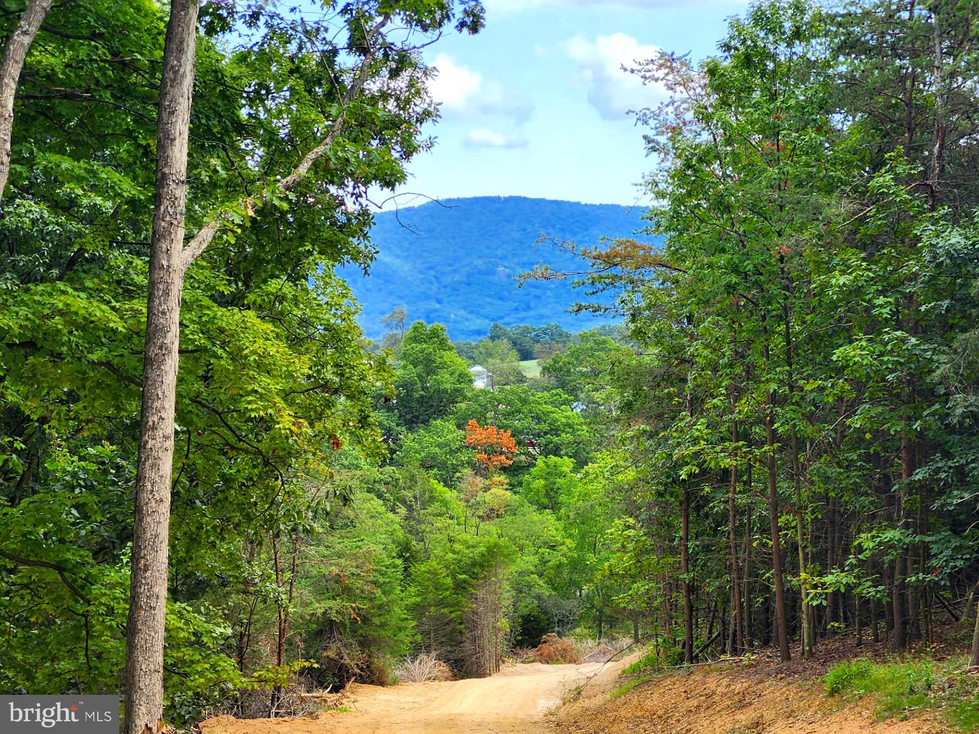 NONE UNRESTRICTED - Land