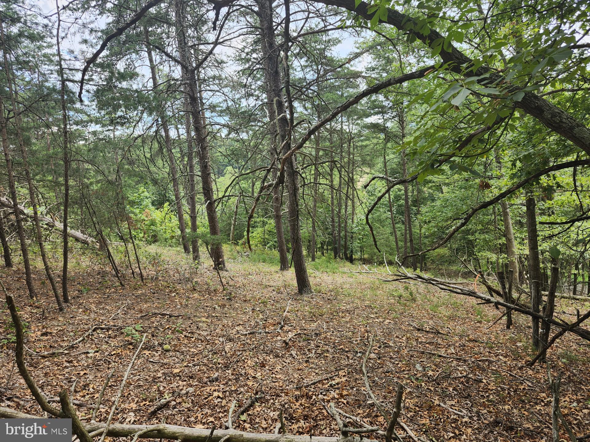 NONE UNRESTRICTED - Land