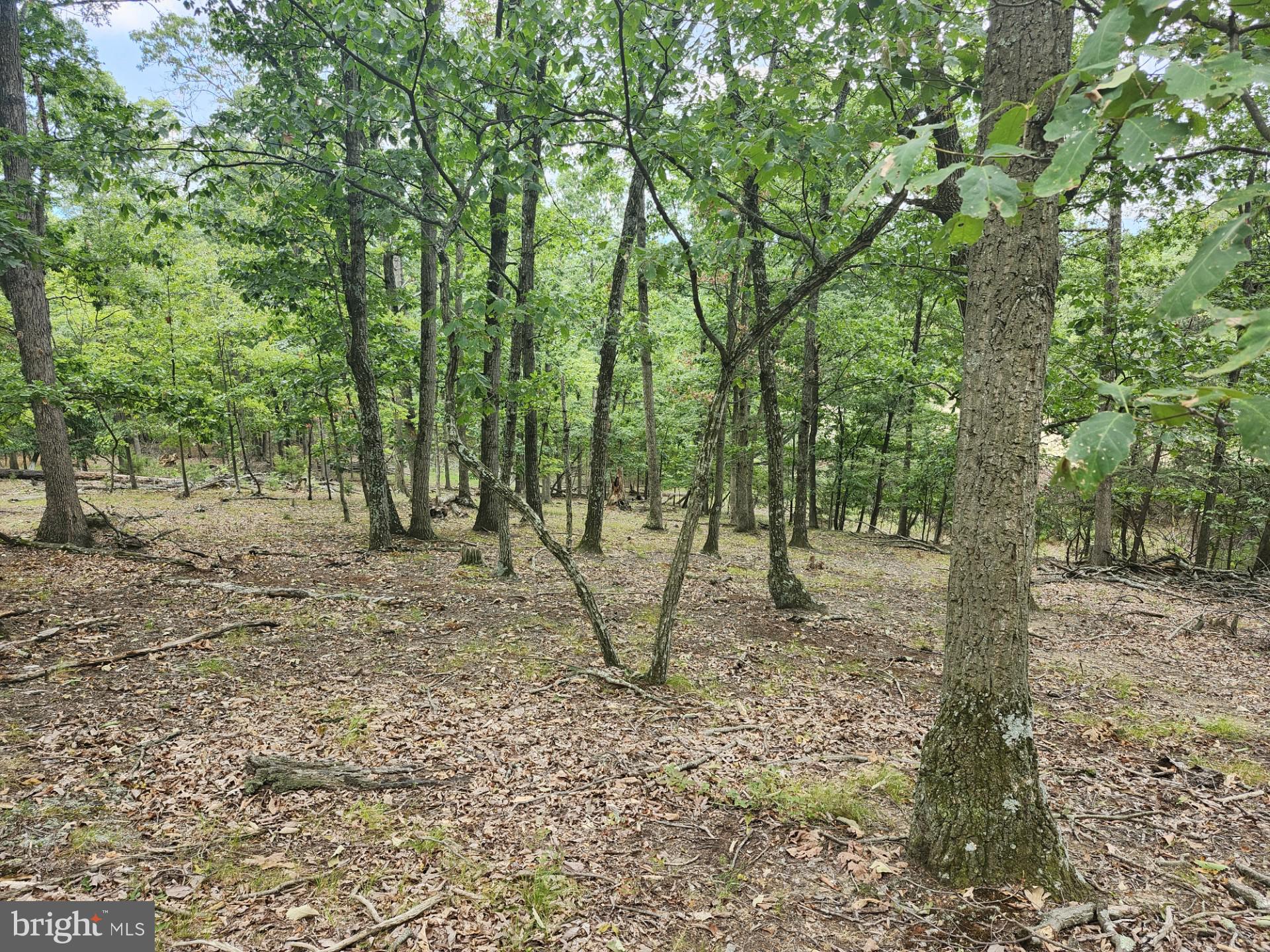 NONE UNRESTRICTED - Land