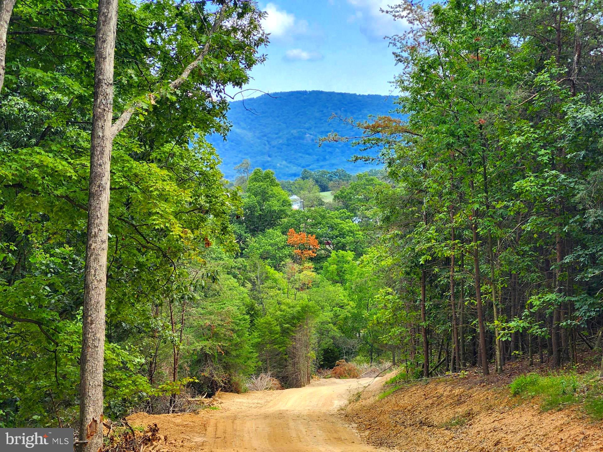 NONE UNRESTRICTED - Land