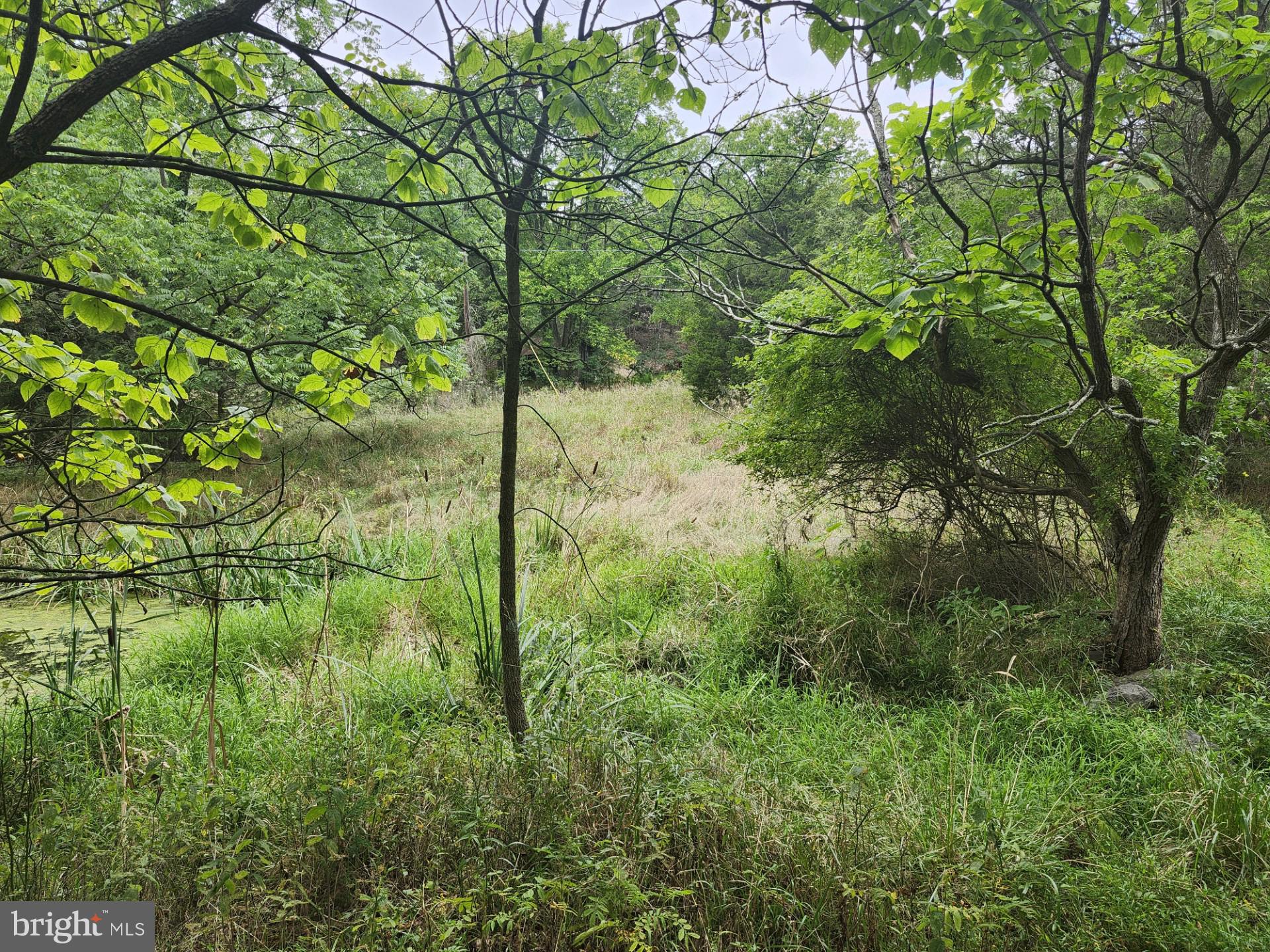 NONE UNRESTRICTED - Land