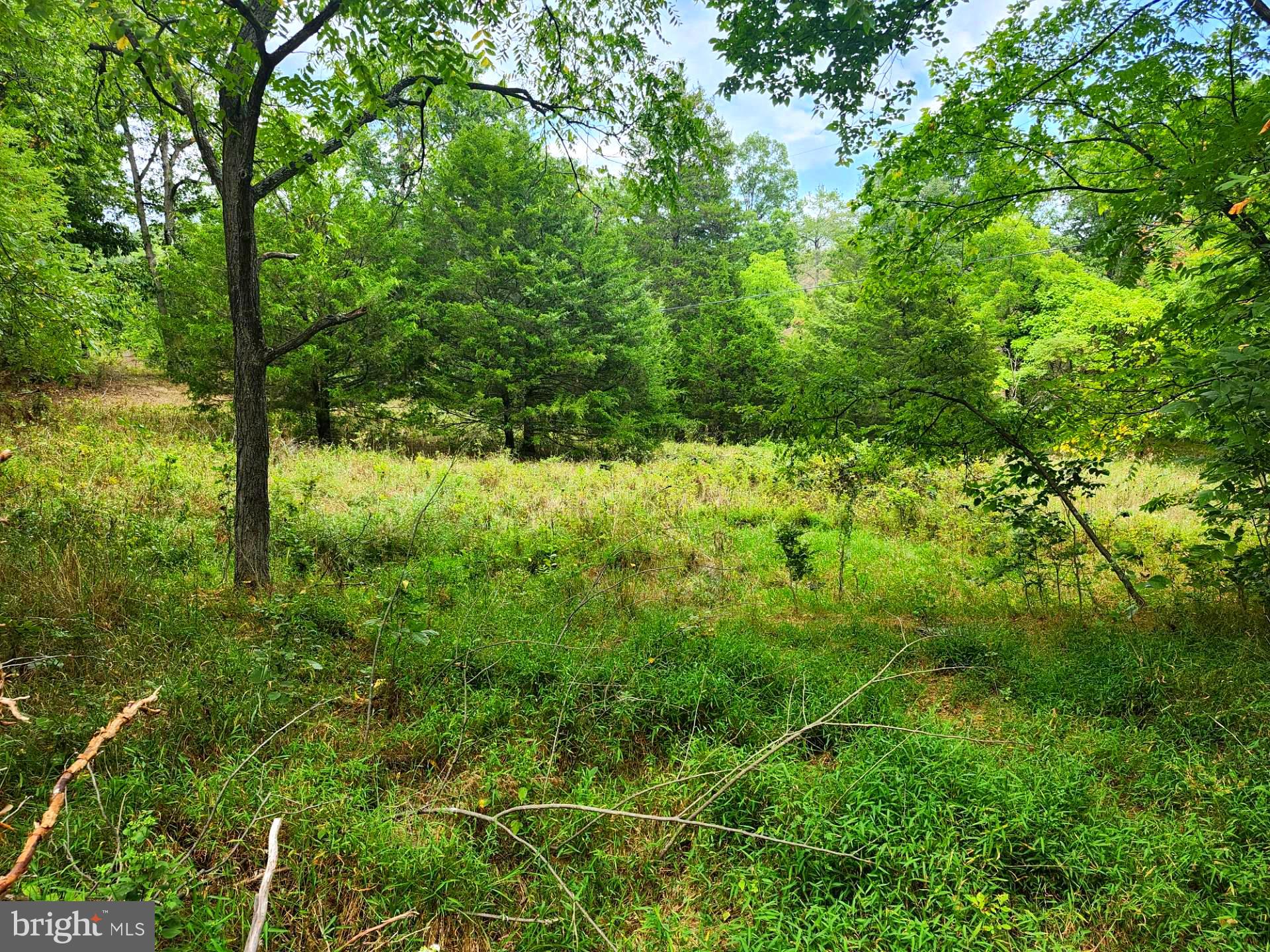 NONE UNRESTRICTED - Land