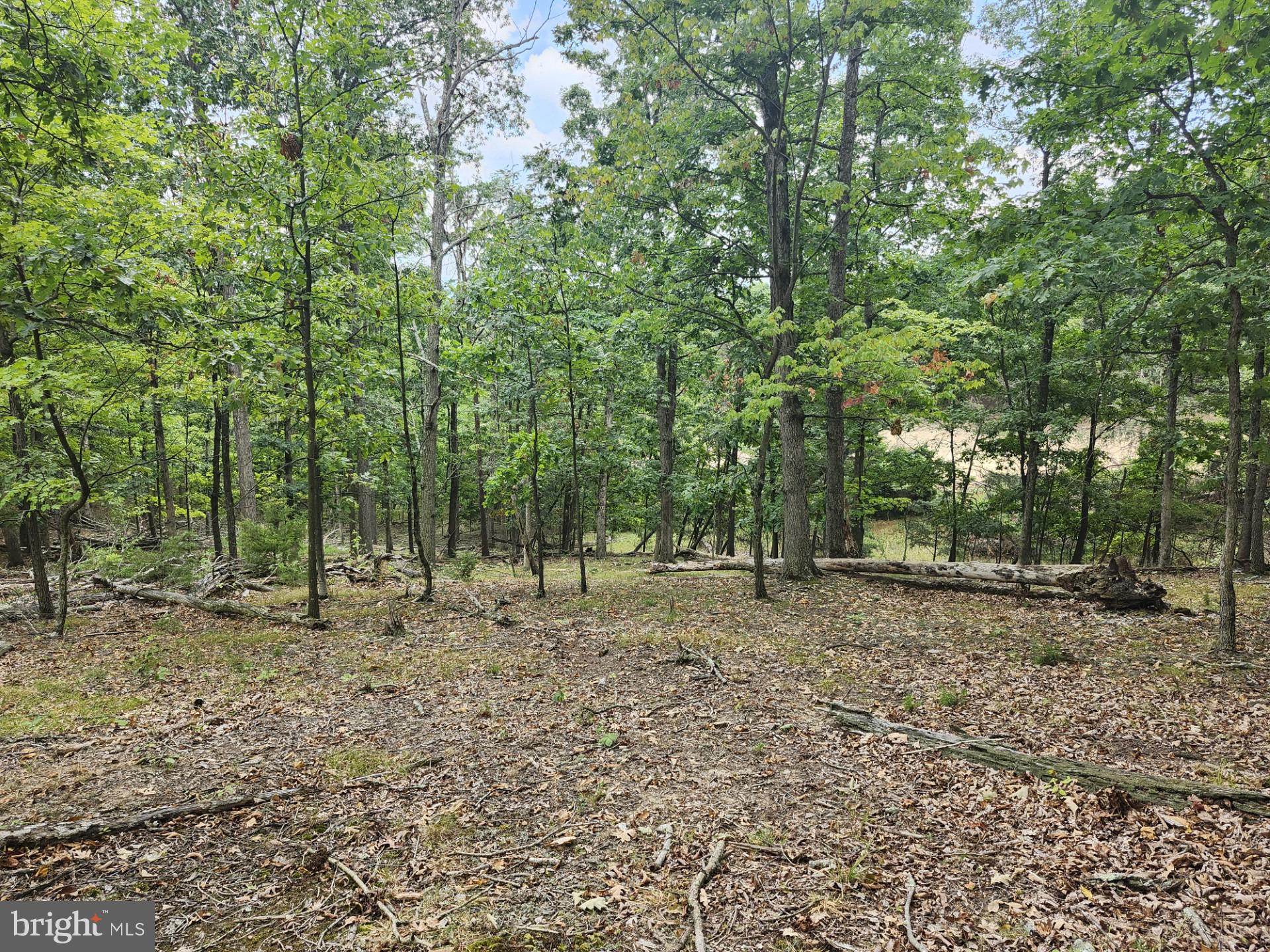 NONE UNRESTRICTED - Land