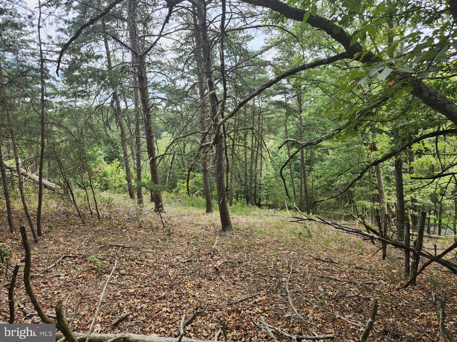 NONE UNRESTRICTED - Land