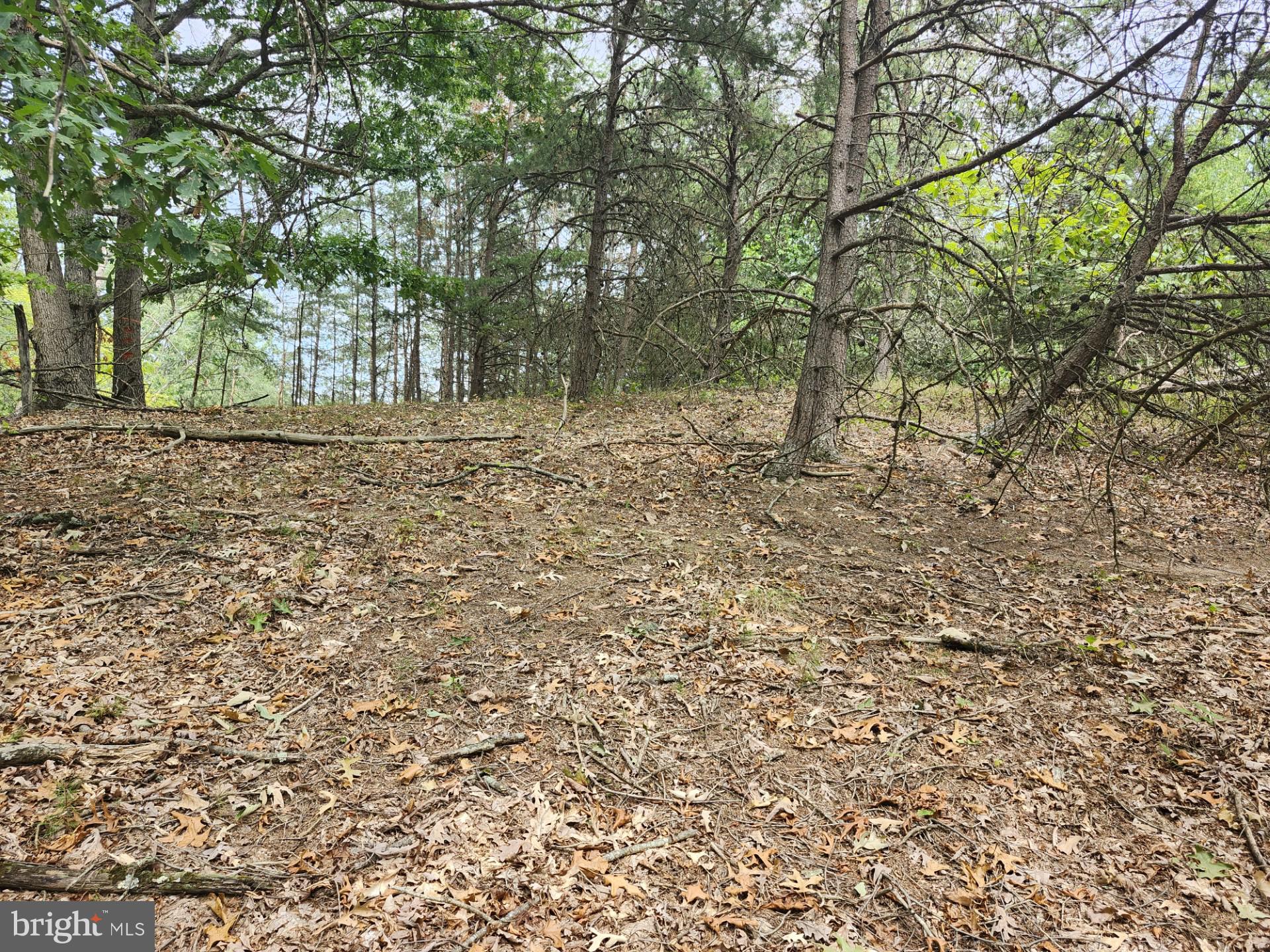 NONE UNRESTRICTED - Land