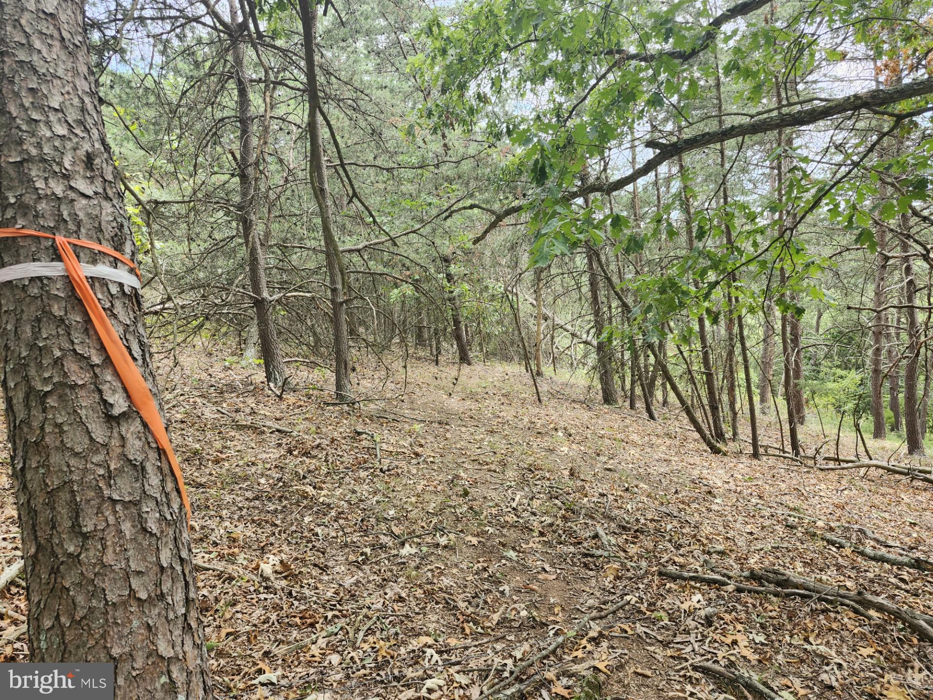 NONE UNRESTRICTED - Land