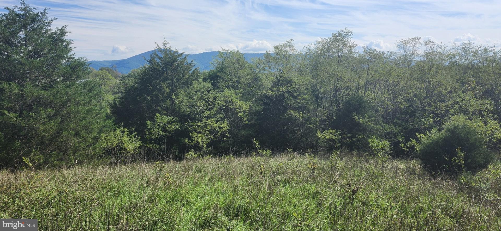 NONE UNRESTRICTED - Land