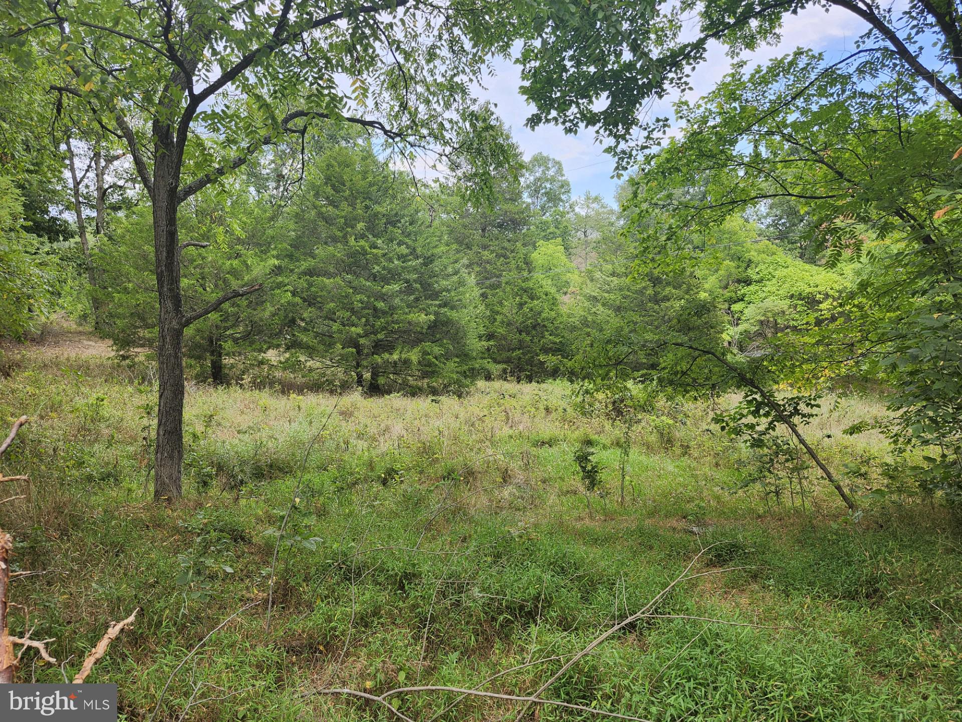 NONE UNRESTRICTED - Land