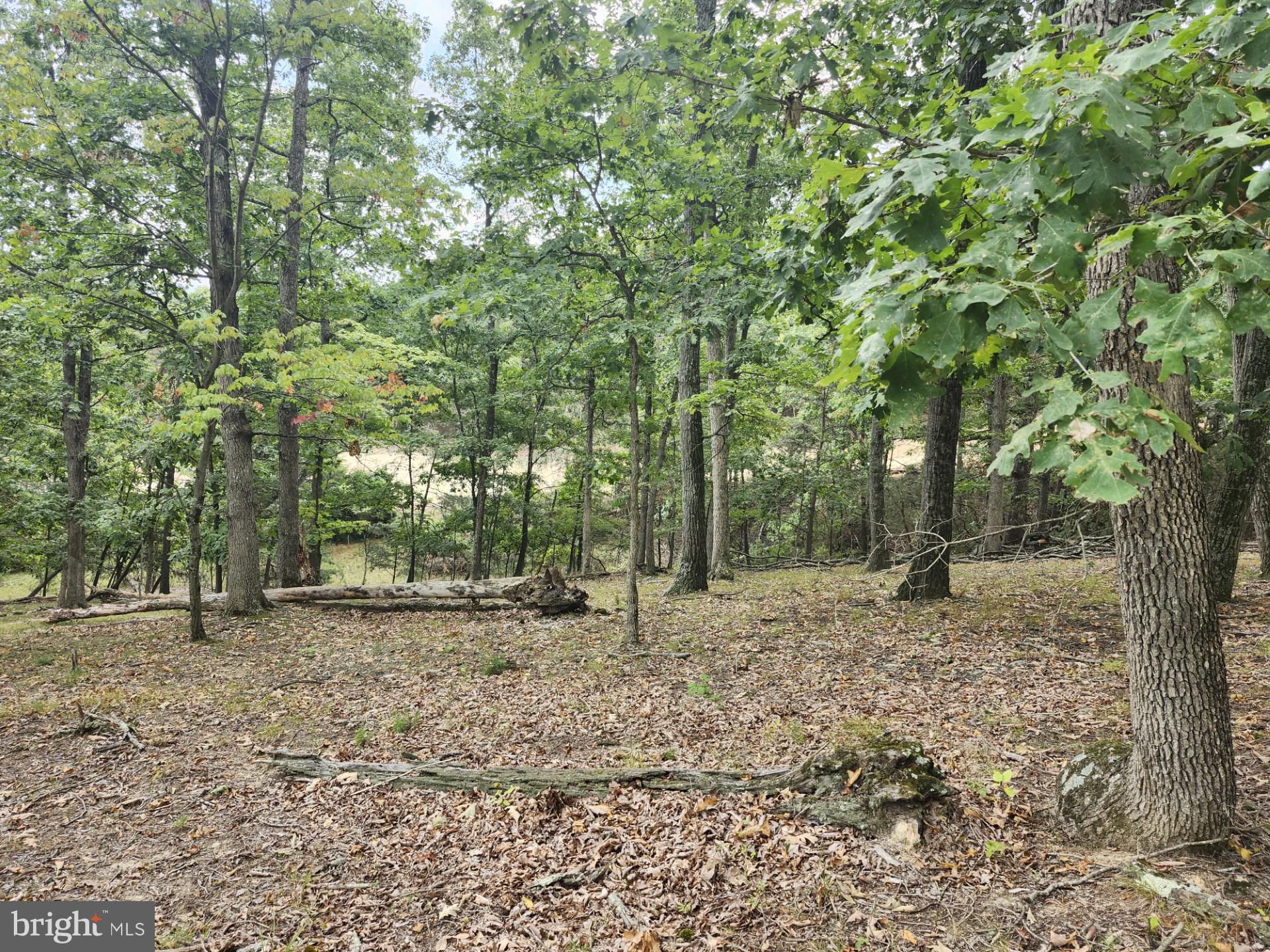 NONE UNRESTRICTED - Land