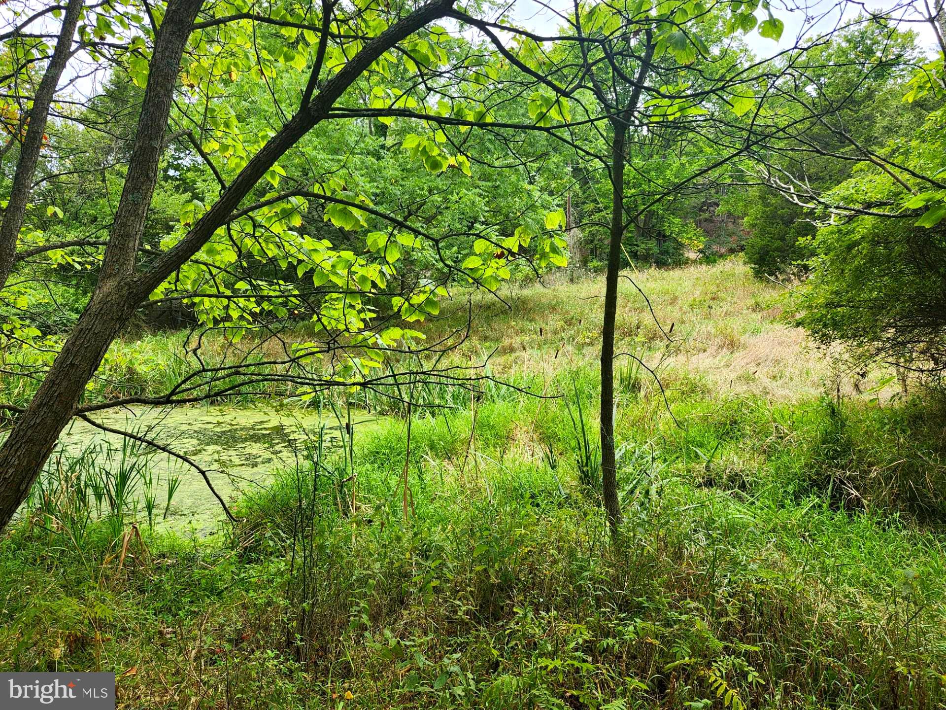 NONE UNRESTRICTED - Land