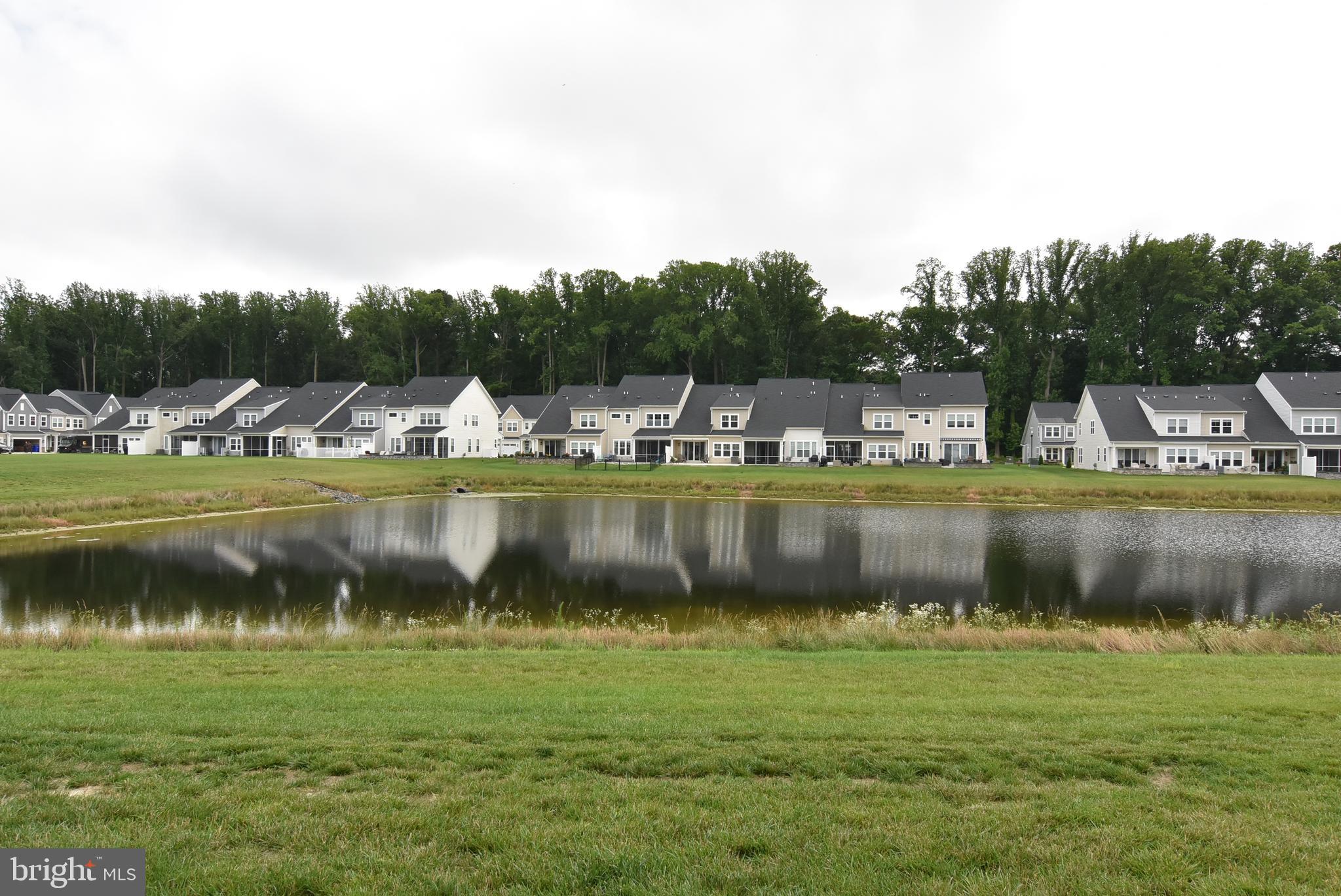 VILLAS AT WALDEN - Residential