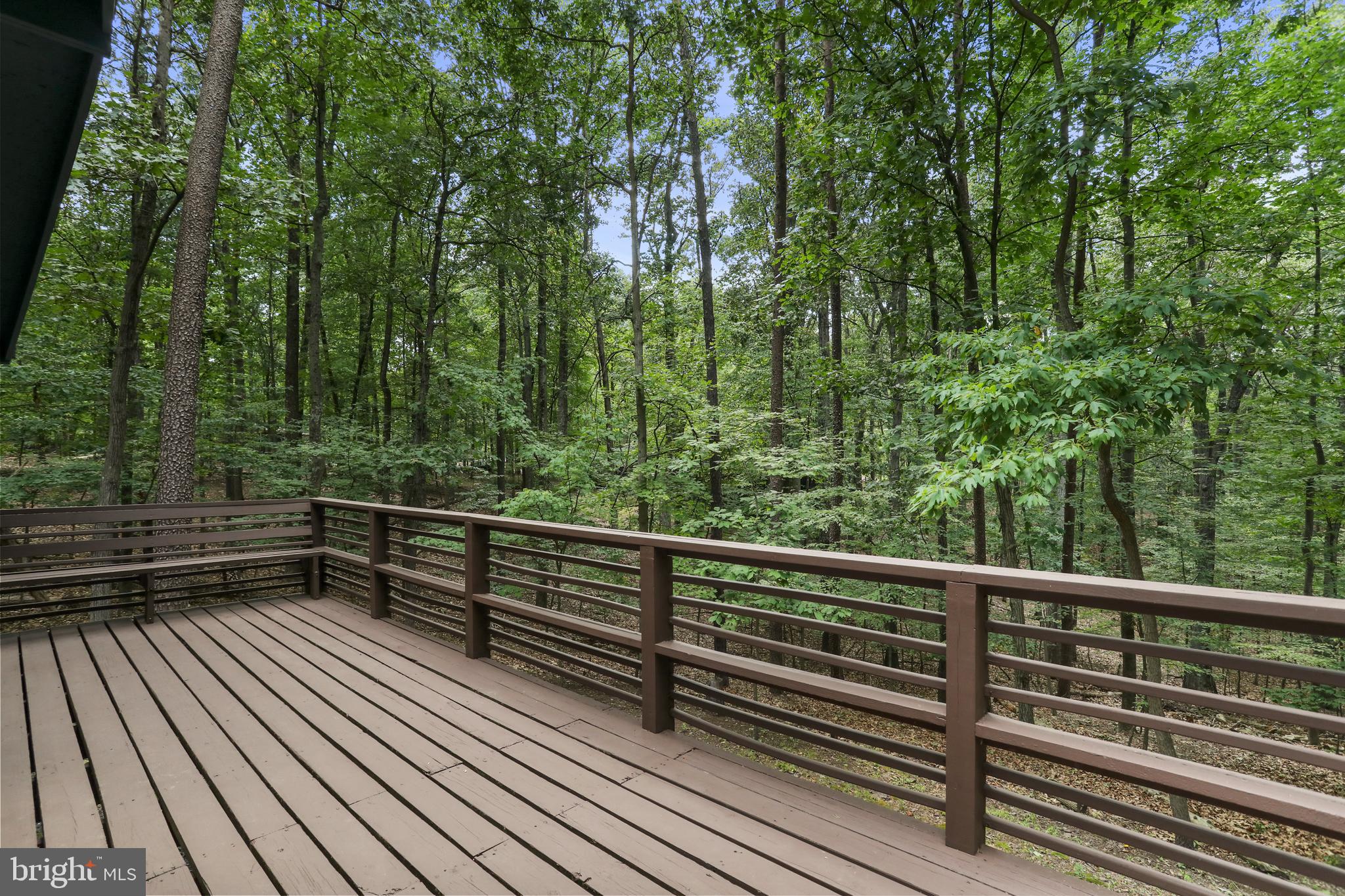 THE WOODS - Residential