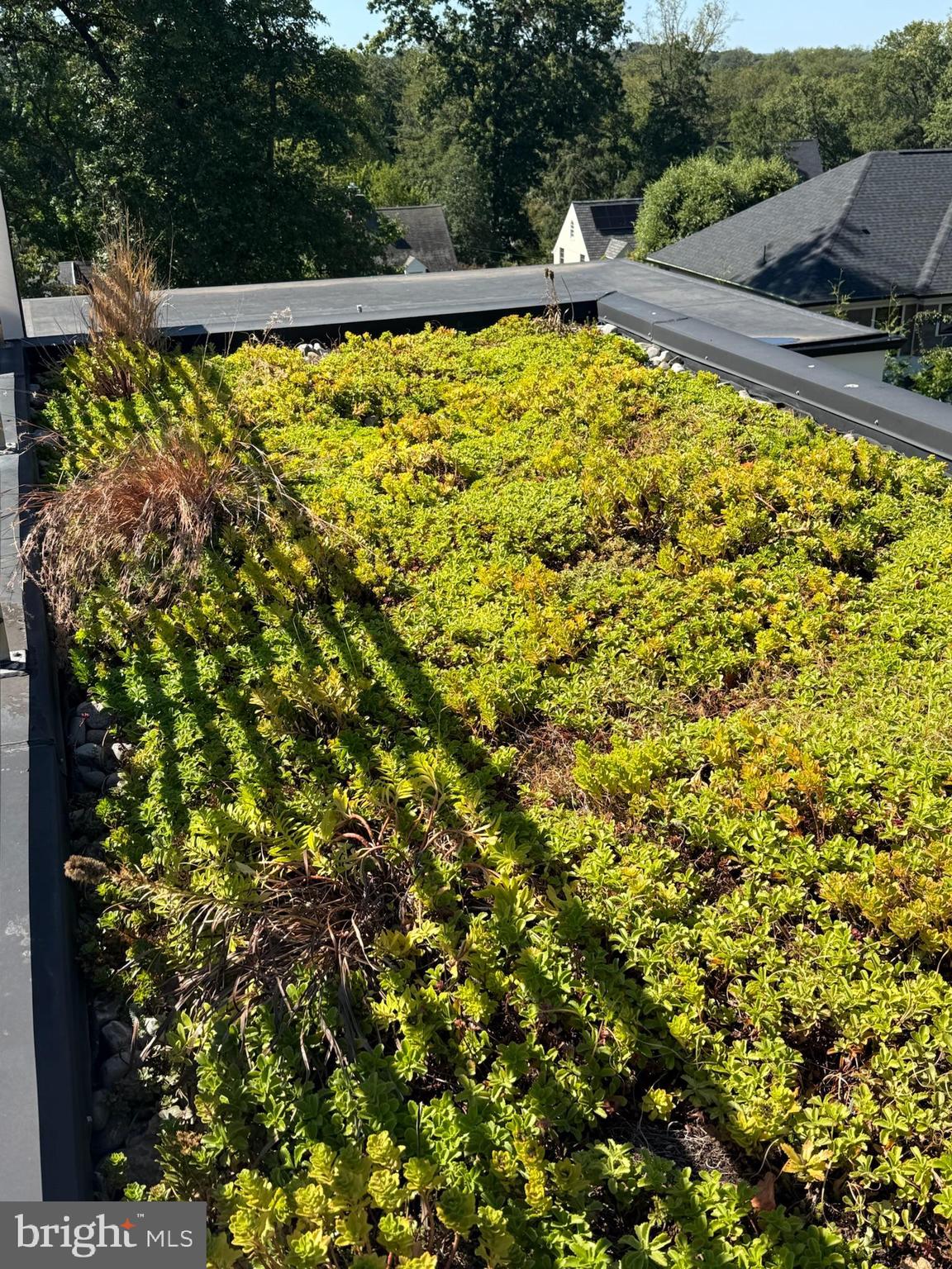 LORCOM GROVE - Residential