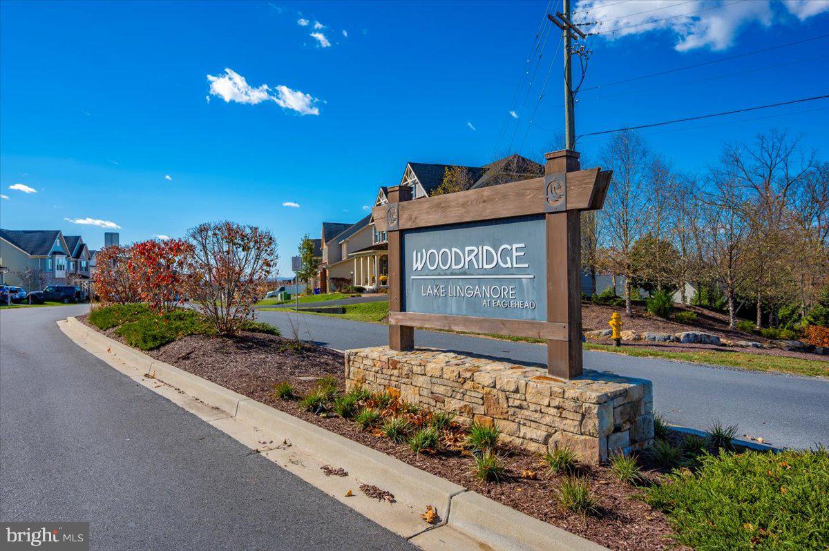 LAKE LINGANORE WOODRIDGE - Residential